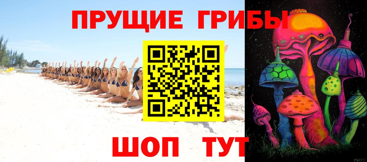 сколько стоит  Вход с VPN  Кушва  Псилоцибиновые грибы GOLDEN TEACHER 